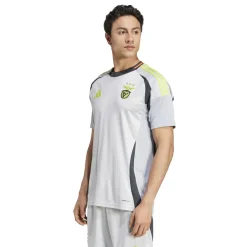 adidas Benfica Third Shirt 2024 2025 Adults in Grey