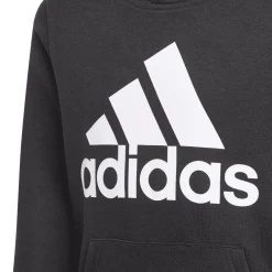 adidas Boys Essentials Big Logo Hoodie in Black