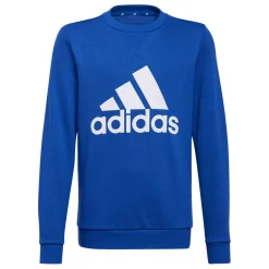 adidas Boys Essentials Sweatshirt in Blue