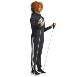 adidas Essentials Big Logo Fleece Hoodie in Black