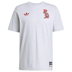 adidas Fc Bayern Vrct Tee in Grey