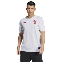 adidas Fc Bayern Vrct Tee in Grey