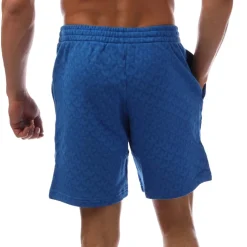 adidas Originals Graphics Monogram Shorts in Blue