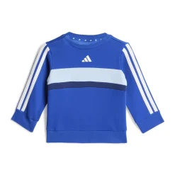 adidas Tiberiocrewts Bb00 in Blue