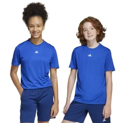adidas Train Essentials Logo T-Shirt Juniors in Blue