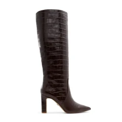Aldo Knee High Block Heel Boots in Brown