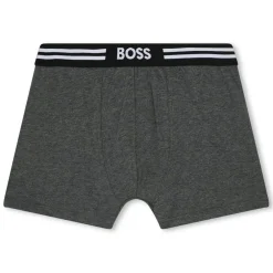 Boss 2 Pack Boxer Brief in Grey