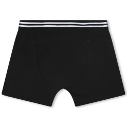 Boss 2 Pack Boxer Brief in Grey