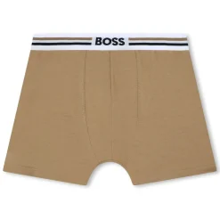 Boss 2 Pack Boxer Briefs in Blue