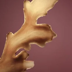 Boss The Scent Absolute For Her Eau De Parfum in Clear