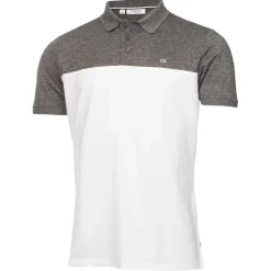 Calvin Klein Golf Block Polo Shirt in Multi
