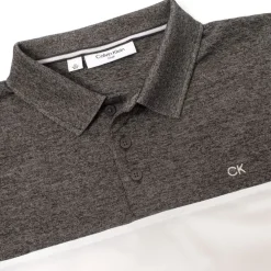 Calvin Klein Golf Block Polo Shirt in Multi