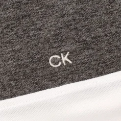 Calvin Klein Golf Block Polo Shirt in Multi