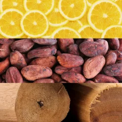 Calvin Klein Klein In 2 U Eau De Toilette Mens in Multi