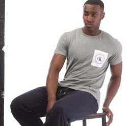 Calvin Klein Round Logo Pocket T-Shirt in Grey