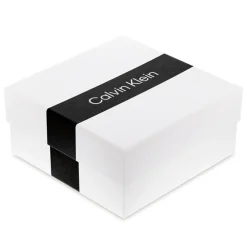 Calvin Klein Stainless Steel Brushed Dog Tag Necklace in Silver