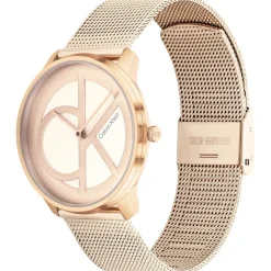 Calvin Klein Steel Mesh Analogue Watch in Grey