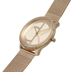 Calvin Klein Steel Mesh Analogue Watch in Grey