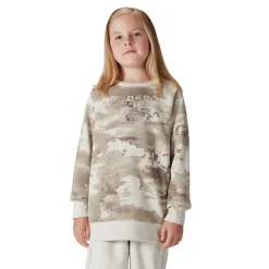 Canterbury British And Irish Lions Sweatshirt 2025 Juniors in Brown