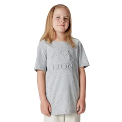 Canterbury British And Irish Lions Momentum T-Shirt 2025 Juniors in Grey