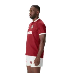 Canterbury British And Irish Lions 2024 Shirt Adults in Red
