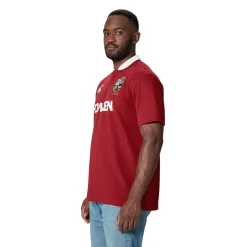 Canterbury British And Irish Lions Classic Shirt 2024 Adults in Red