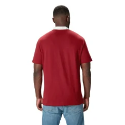 Canterbury British And Irish Lions Classic Shirt 2024 Adults in Red