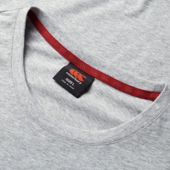 Canterbury British And Irish Lions Monument T-Shirt 2024 Adults in Grey