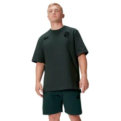 Canterbury Mens British And Irish Lions Stealth T-Shirt in Green