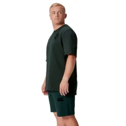 Canterbury Mens British And Irish Lions Stealth T-Shirt in Green