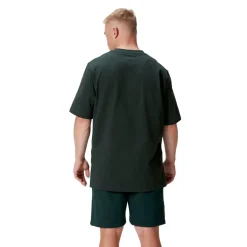 Canterbury Mens British And Irish Lions Stealth T-Shirt in Green