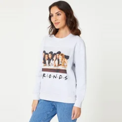 Character Brothers Friends Sweatshirt in Grey