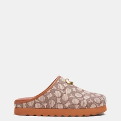 Coach Hadley Clogs in Brown