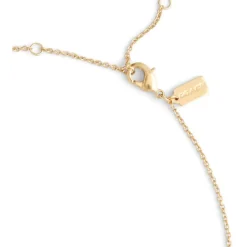 Coach Str H Stn Nklc in Gold