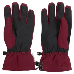 Dare 2b Charisma III Gloves in Purple