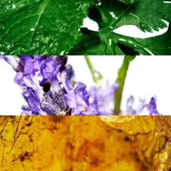 Davidoff Cool Water Woman Eau De Toilette in Multi