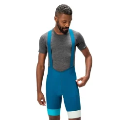 Endura Loop Bib Shorts in Blue