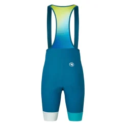 Endura Loop Bib Shorts in Blue