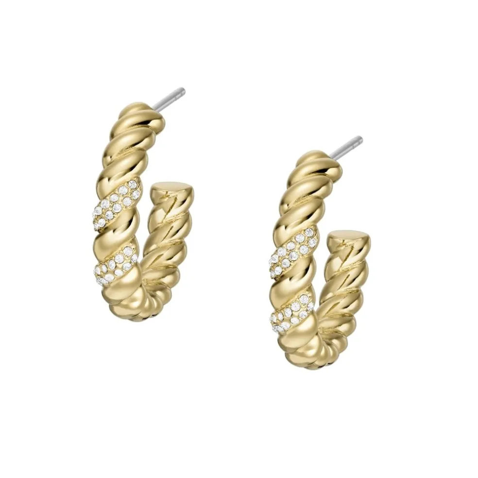Fossil Stainless Steel Earrings in Gold