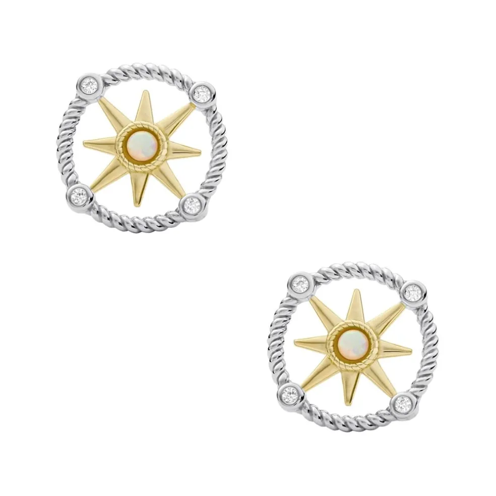 Fossil Stainless Steel Earrings in White