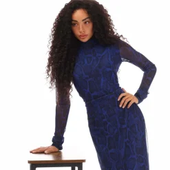 Hugo Neshy Dress in Multi colour