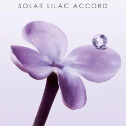 Issey Miyake Drop D’issey Eau De Parfum in Clear