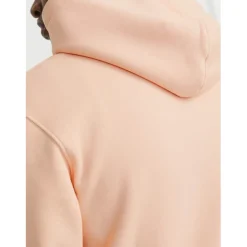 Jack and Jones Basic Hoody in Multi