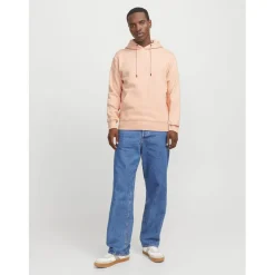 Jack and Jones Basic Hoody in Multi