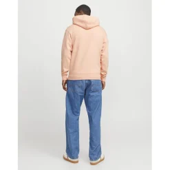 Jack and Jones Basic Hoody in Multi