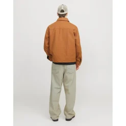 Jack and Jones Mens Ron Jeans in Blue