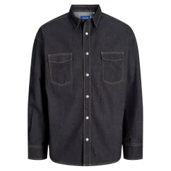 Jack and Jones Regular Fit Long Sleeve Shirt in Blue