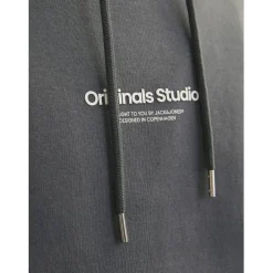 Jack and Jones Vester Hoody in Grey