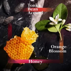 Joop 100 ml Tonka Bean Eau de Toilette in Multi