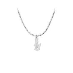 Lacoste Mens Arthor Stainless Steel Necklace in Silver